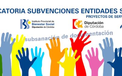 Convocatoria Pública Subvenciones Concurrencia Competitiva Entidades Privadas – Proyectos de Servicios Sociales 2024